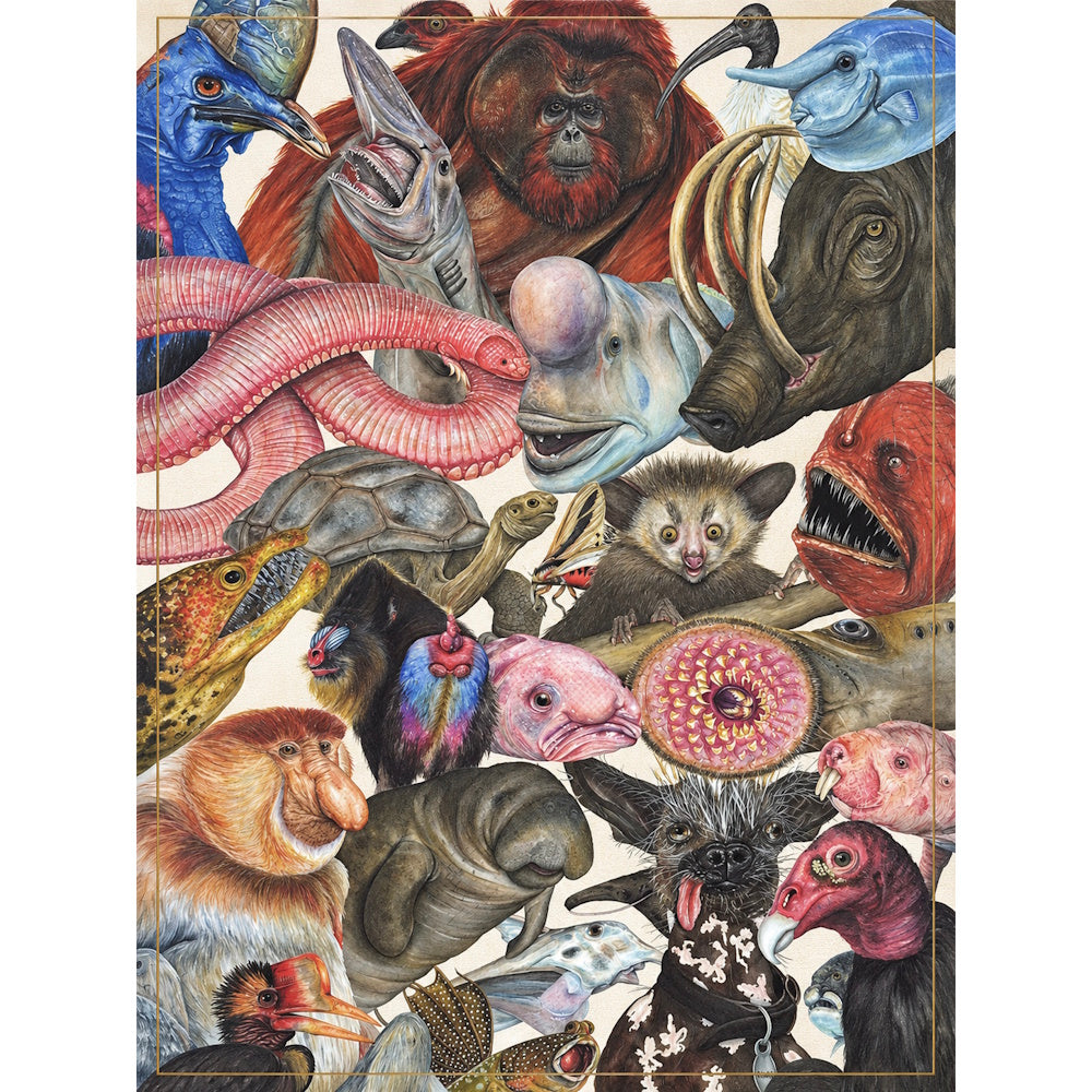 The Illustrated Encyclopaedia of Ugly Animals 1000 Piece Puzzle