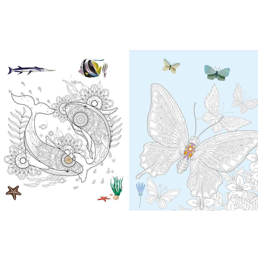The Magical Colouring Book