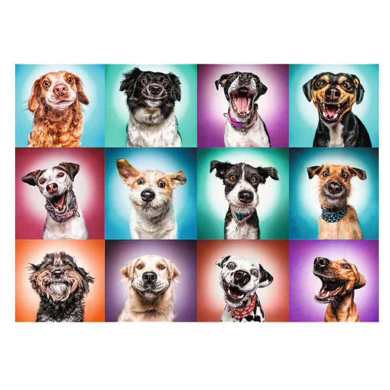 Trefl 2000 Piece Puzzle - Funny Dog Portraits II