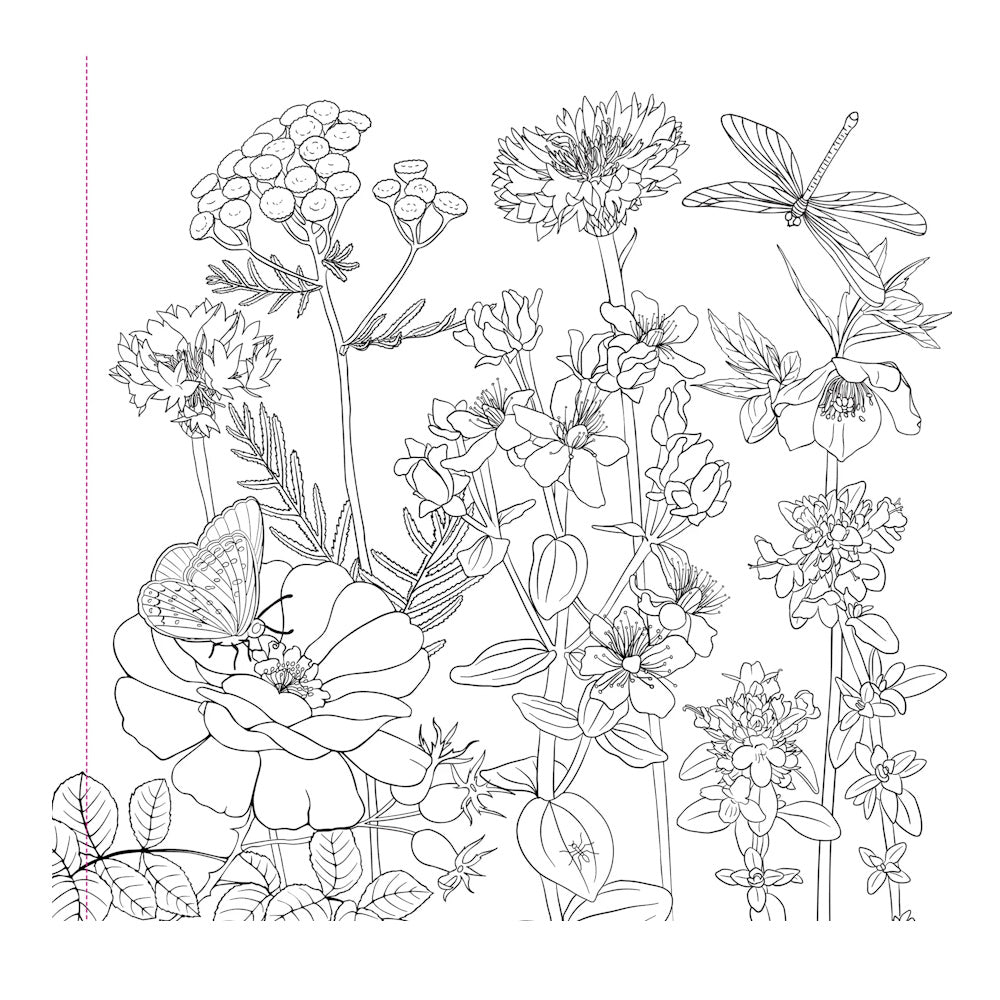 Wildflower Artist's Colouring Book