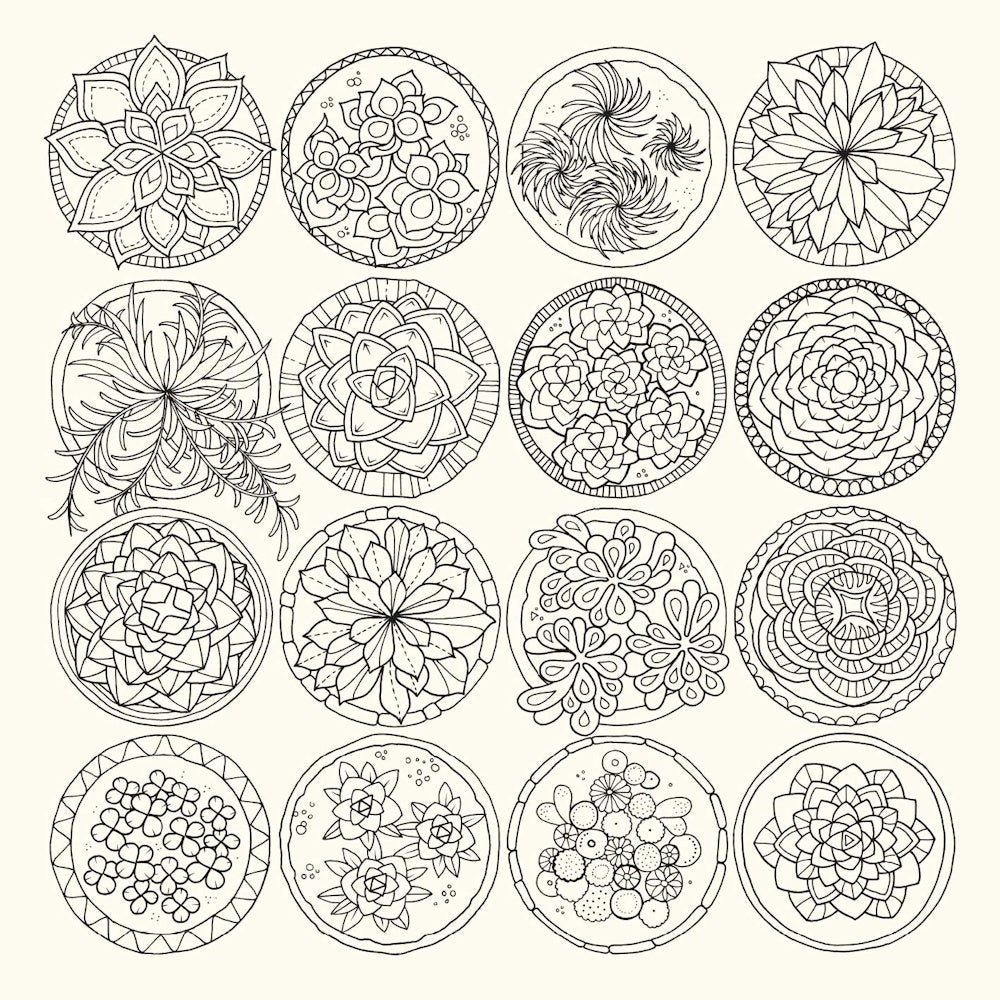 World of Flowers: A Colouring Book & Floral Adventure