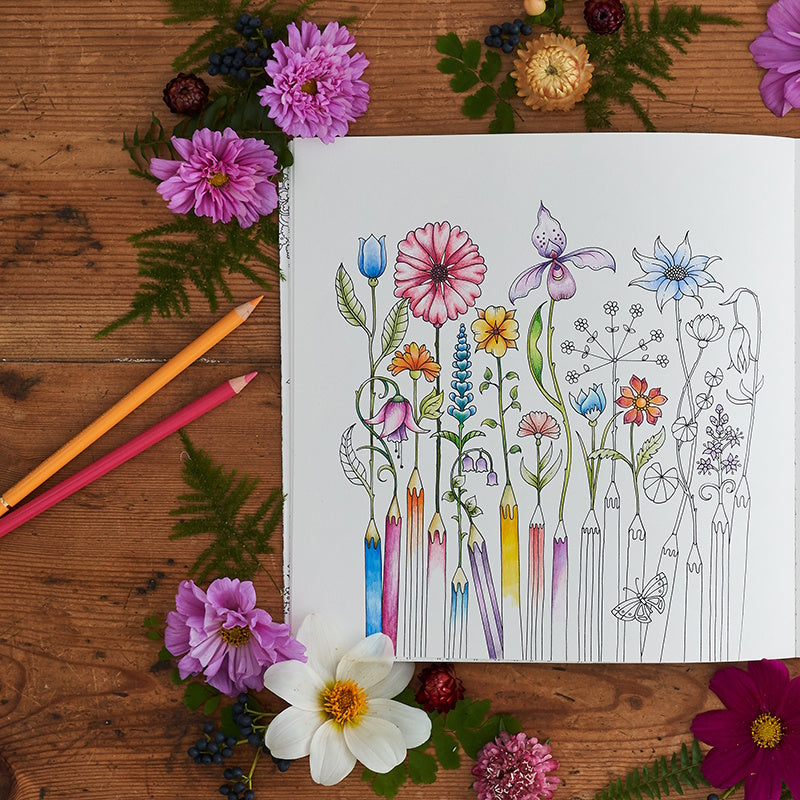 World of Flowers: A Colouring Book & Floral Adventure
