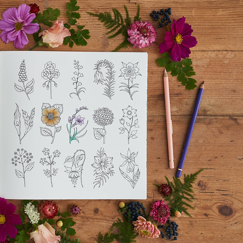 World of Flowers: A Colouring Book & Floral Adventure