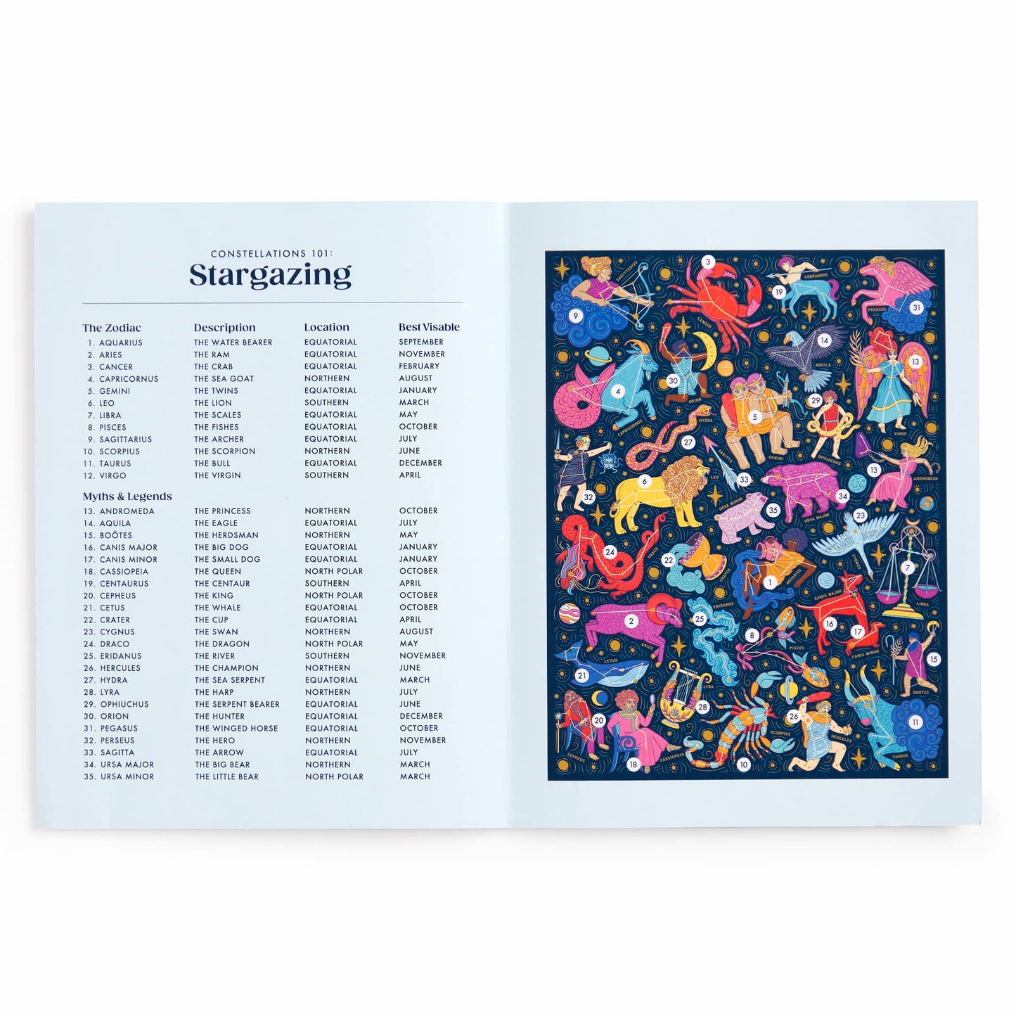 Constellations 101: Stargazing 500 Piece Book Puzzle