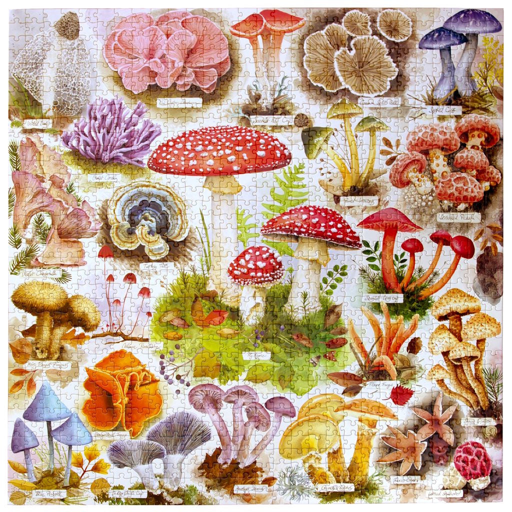 eeBoo 1000 Piece Puzzle - Bountiful Mushrooms
