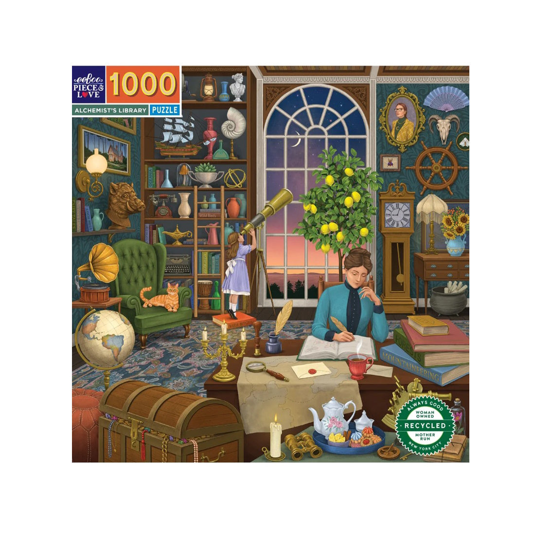 eeBoo Alchemist's Library 1000 Piece Puzzle