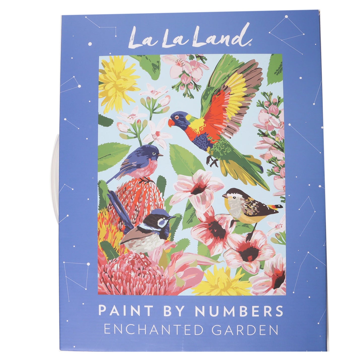 La La Land Enchanted Garden Paint By Numbers Kit