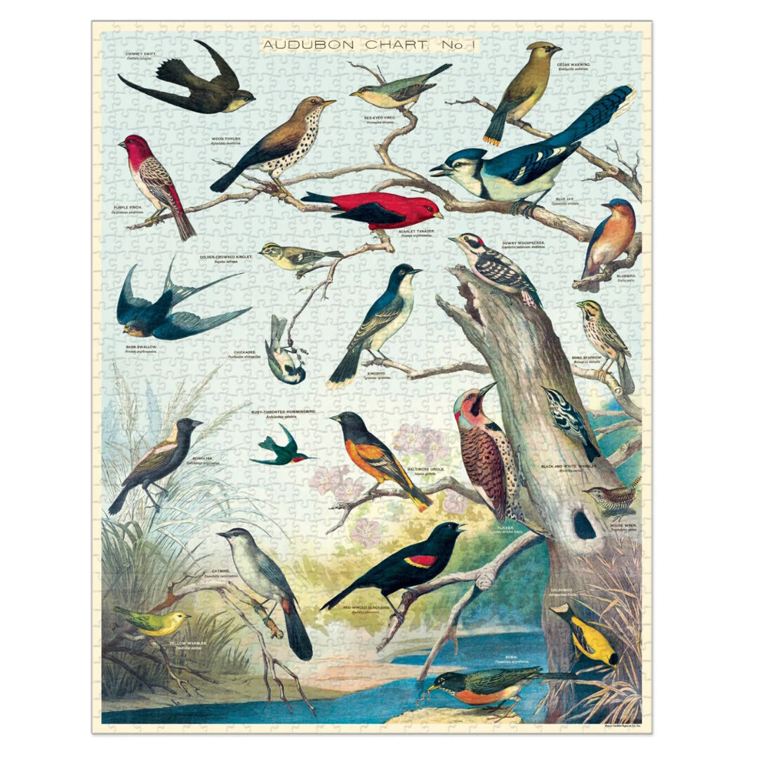 Cavallini 1000 Piece Jigsaw Puzzle - Audubon Birds