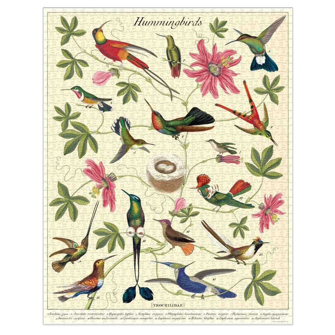 Cavallini 1000 Piece Jigsaw Puzzle - Hummingbirds