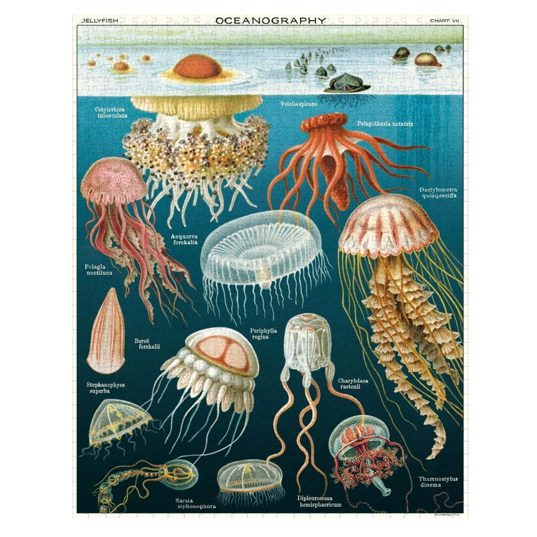 Cavallini 1000 Piece Jigsaw Puzzle - Jellyfish