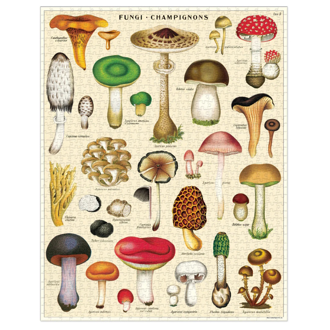 Cavallini 1000 Piece Jigsaw Puzzle - Mushrooms