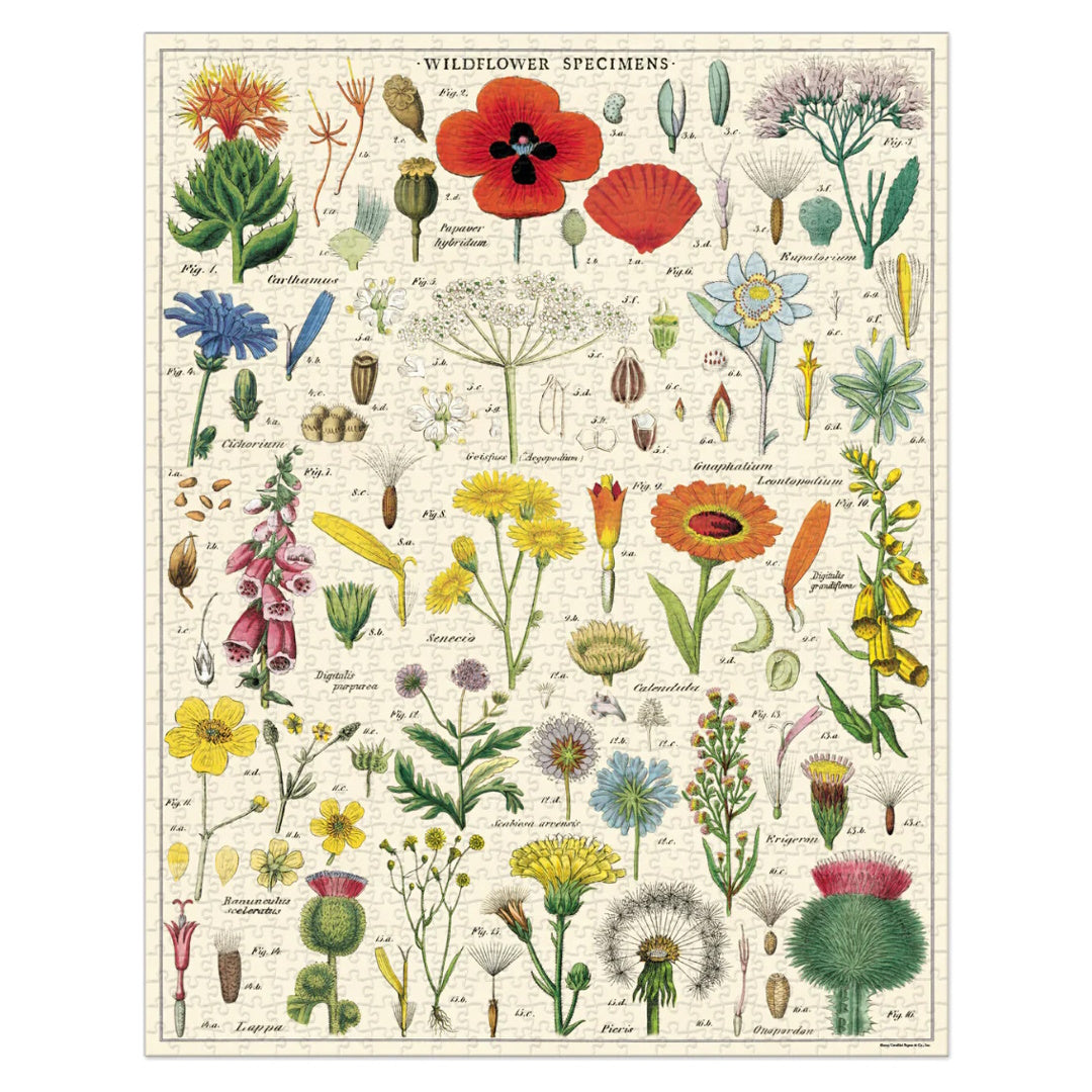 Cavallini 1000 Piece Jigsaw Puzzle - Wildflowers