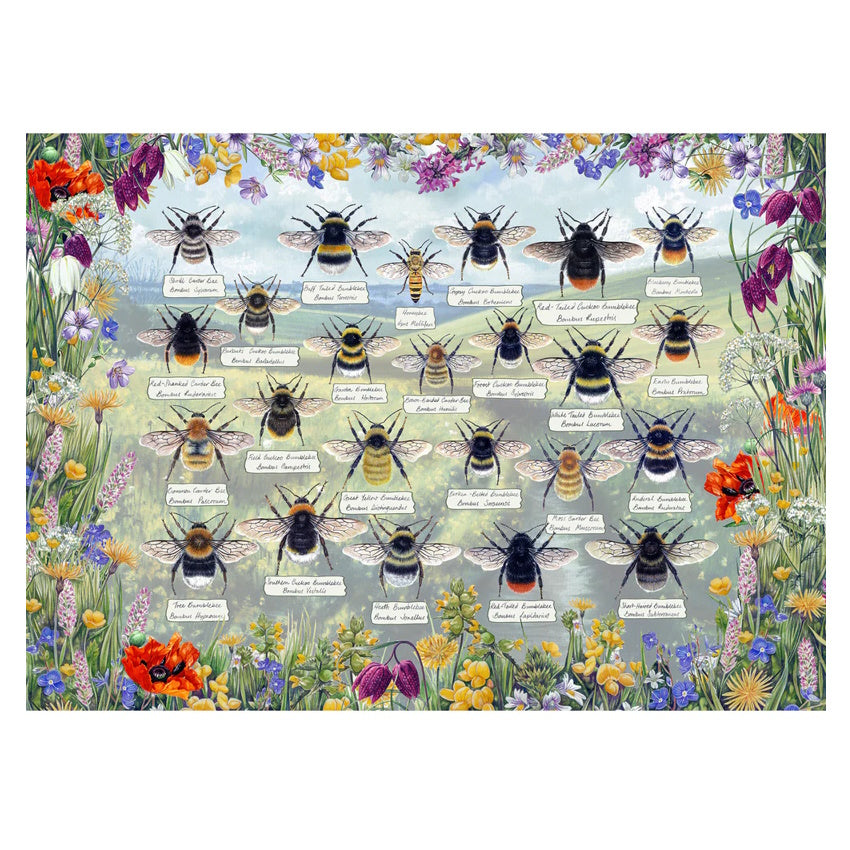 Gibsons 1000 Piece Jigsaw Puzzle - Brilliant Bees