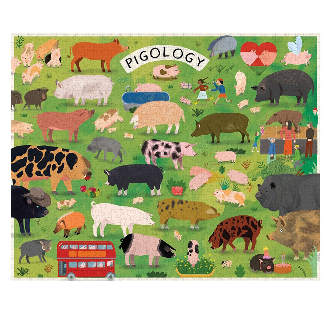 Pigology 1000 Piece Puzzle