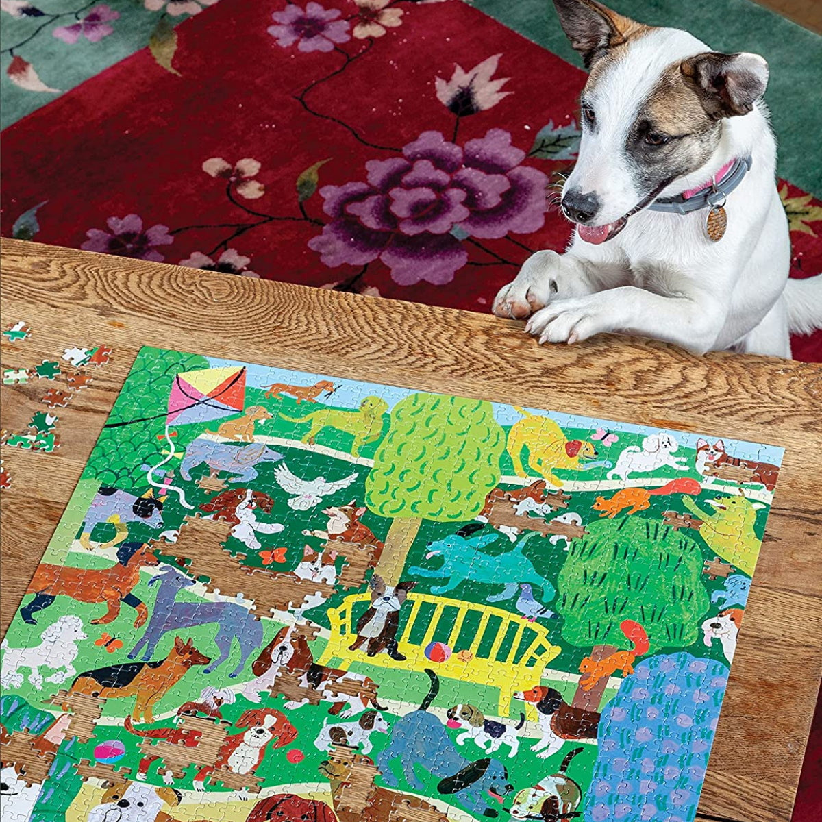 eeBoo Dogs in the Park 1000 Piece Puzzle