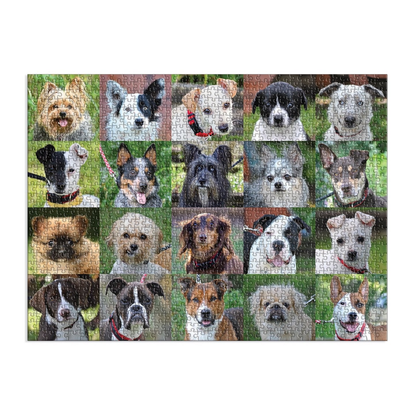 Rescue Dogs 1000 Piece Jigsaw Puzzle